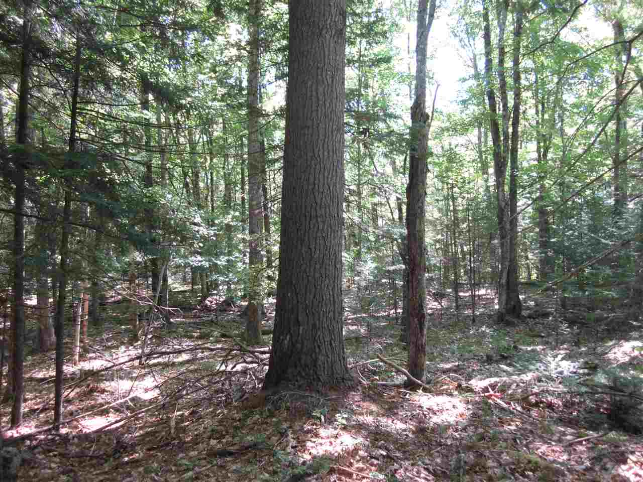 0 Tinkerville Road Lyman, NH 03585 - Photo 3 of 8