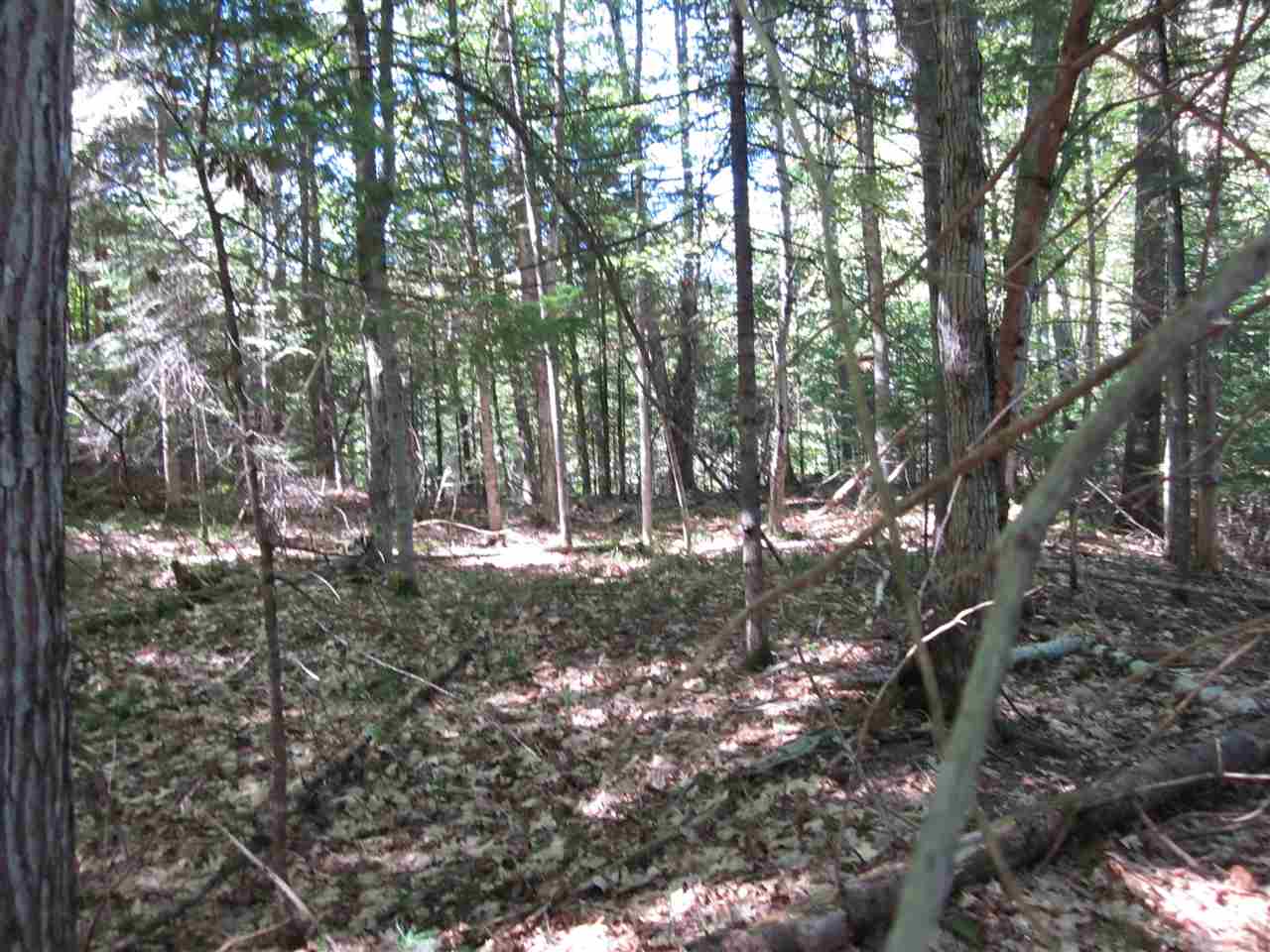 0 Tinkerville Road Lyman, NH 03585 - Photo 8 of 8