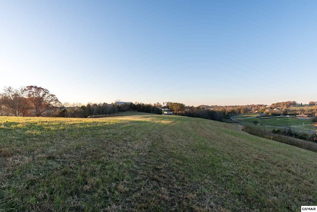2854 Acres Denton Road Sevierville, TN 37862 - Photo 4 of 9