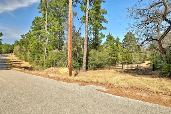a view of a yard with trees