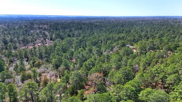 an aerial view of residential houses with outdoor space and trees