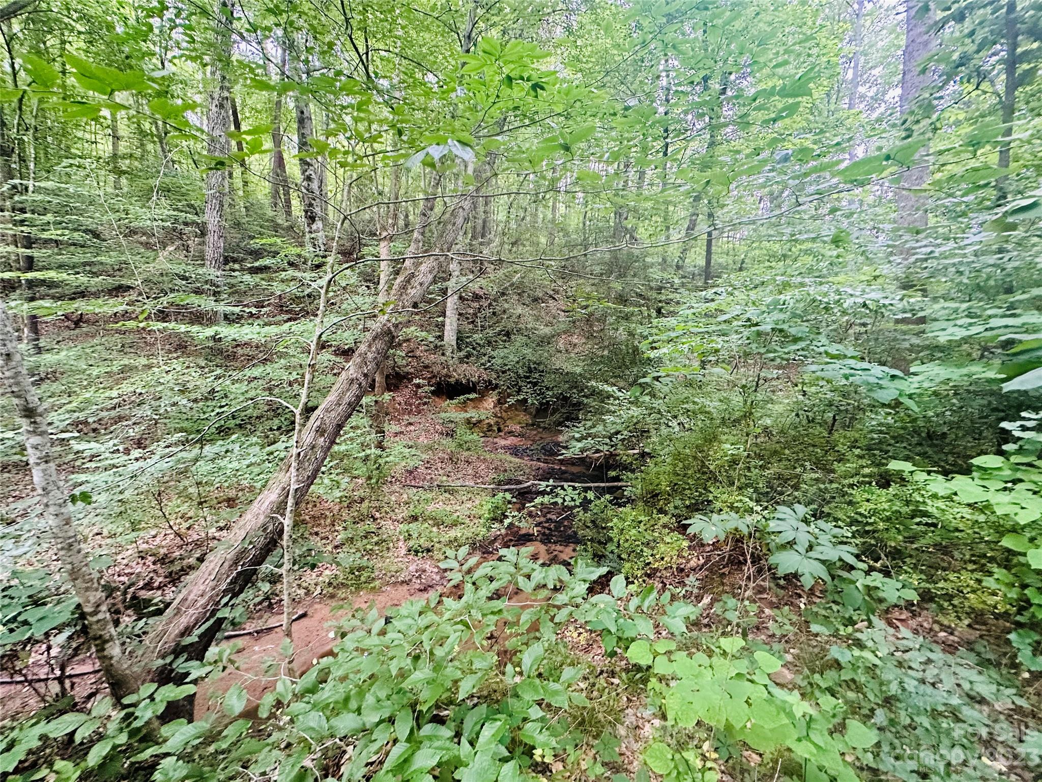 337 Nanneytown Road Union Mills, NC 28167 - Photo 13 of 15 Gallery Image 13