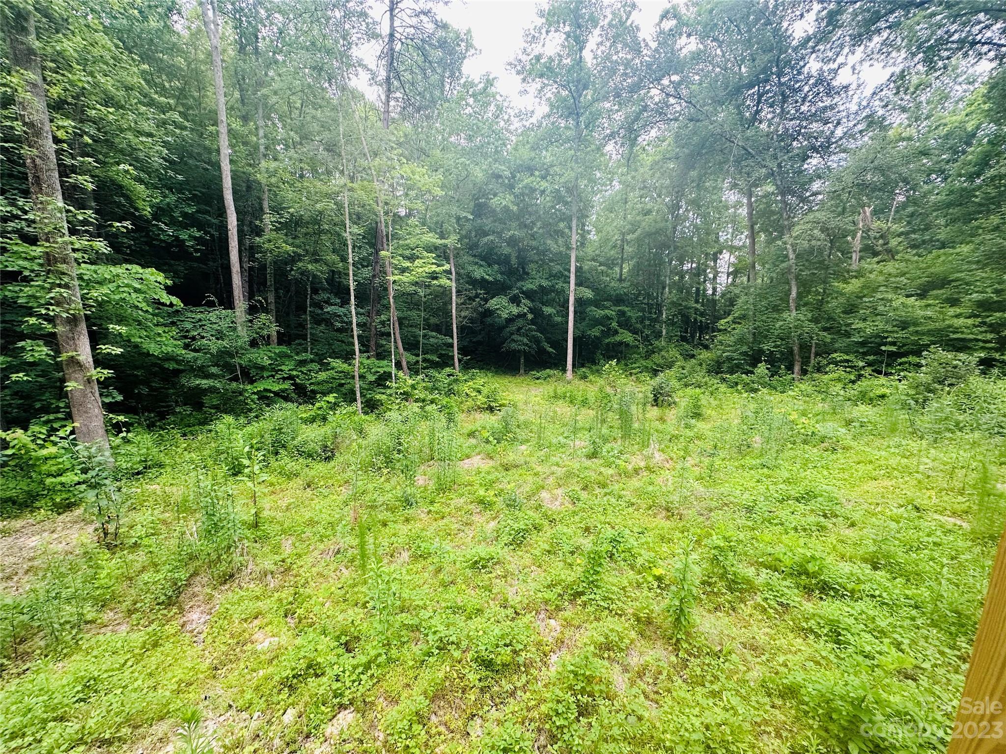 337 Nanneytown Road Union Mills, NC 28167 - Photo 14 of 15 Gallery Image 14