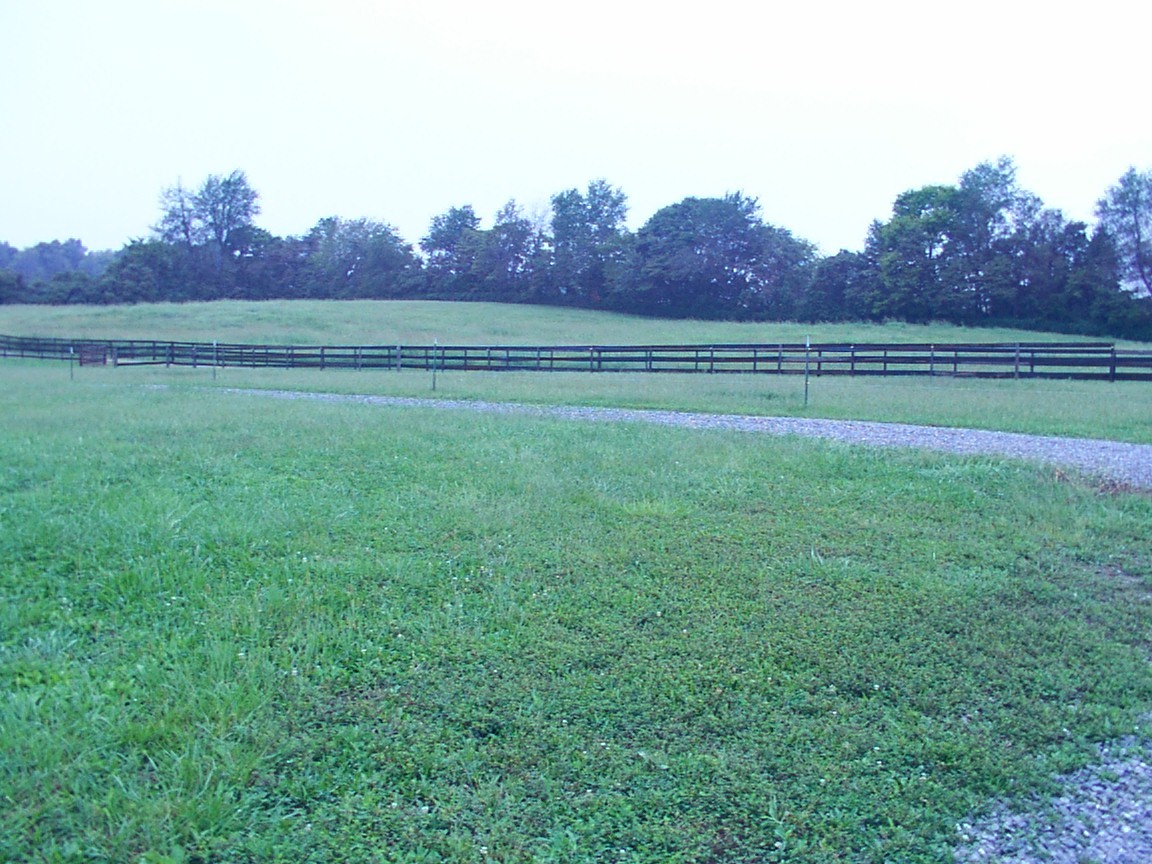 6160 Underwood Road Springfield, TN 37172 - Photo 18 of 21 a view of a field of grass and trees