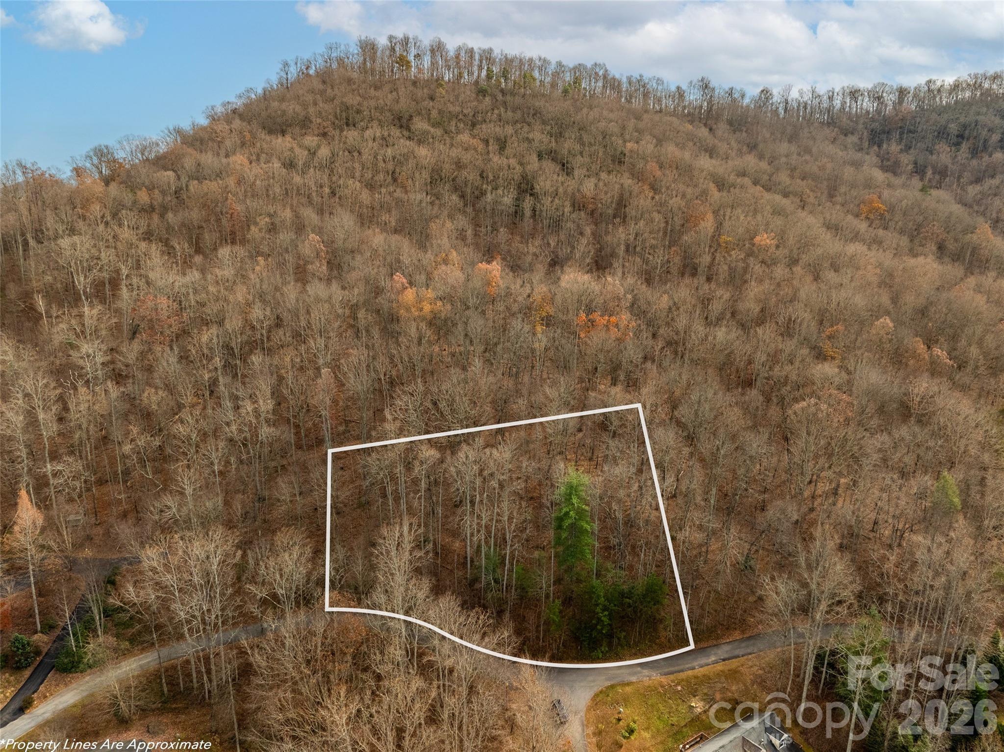 75 South Lindon Cove Road Candler, NC 28715 - Photo 11 of 15 a bathroom with a shower
