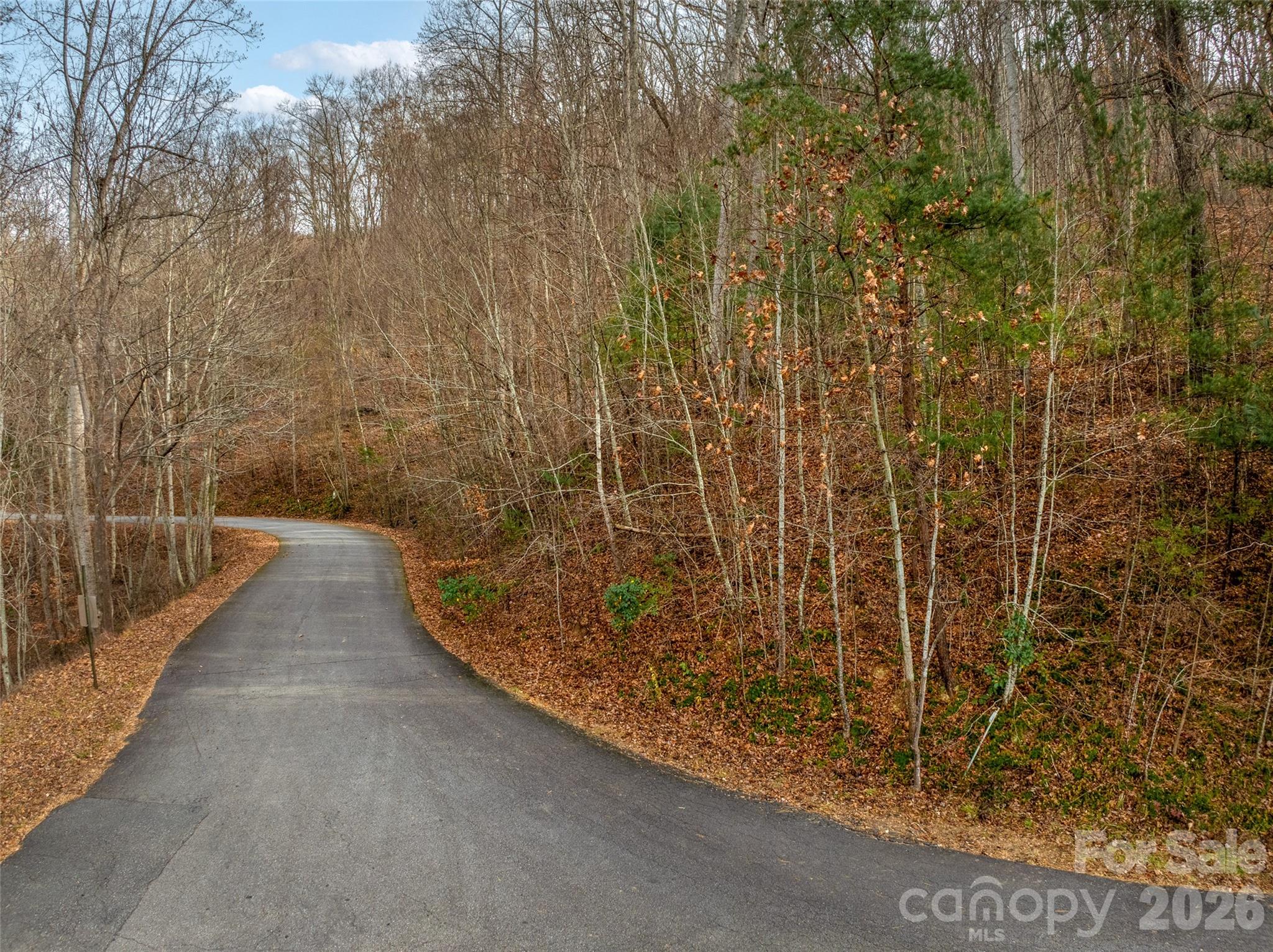 75 South Lindon Cove Road Candler, NC 28715 - Photo 13 of 15 a view of a pathway