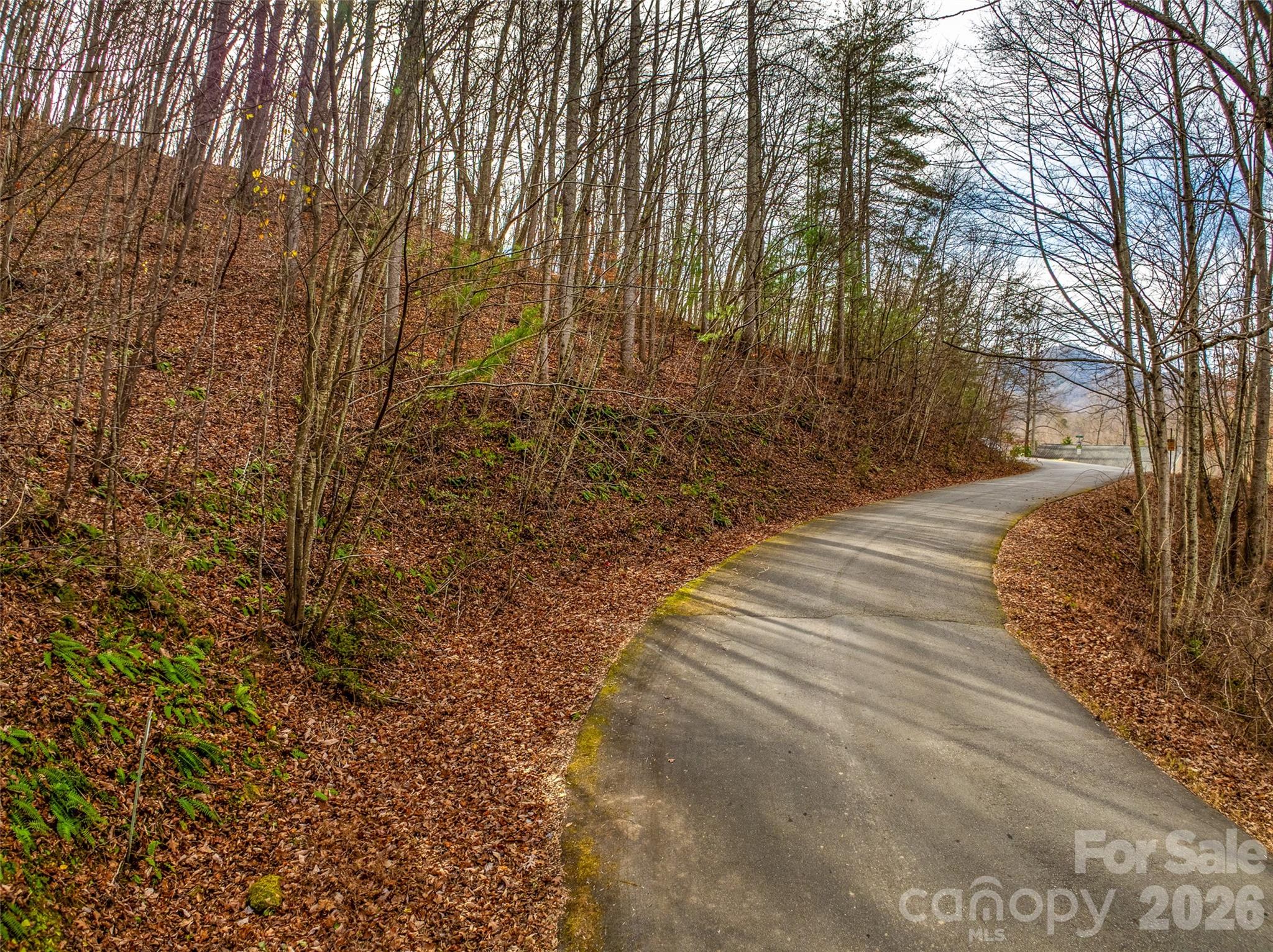 75 South Lindon Cove Road Candler, NC 28715 - Photo 14 of 15 a view of a backyard of the house