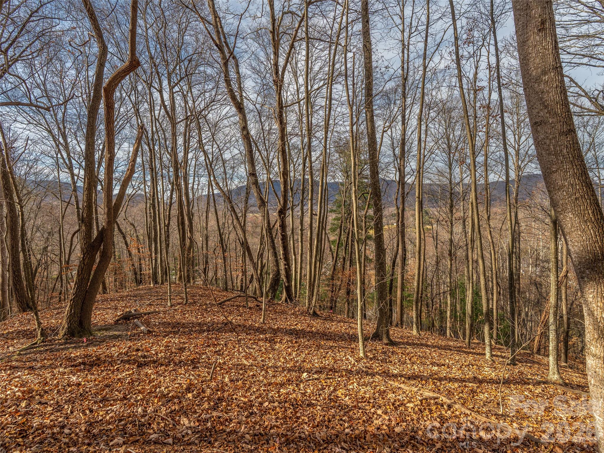 75 South Lindon Cove Road Candler, NC 28715 - Photo 4 of 15 a backyard of a house with lots of green space