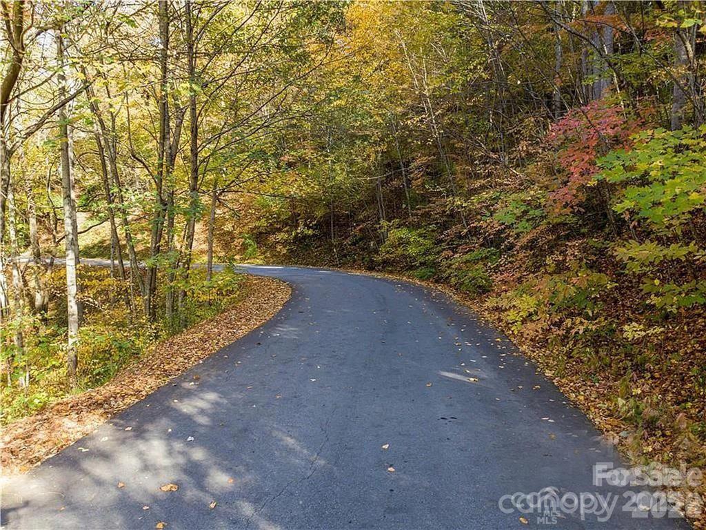 75 South Lindon Cove Road Candler, NC 28715 - Photo 5 of 15 a view of a pathway both side of yard