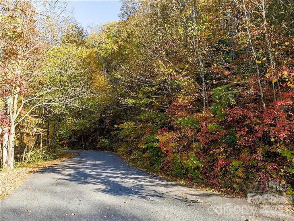 75 South Lindon Cove Road Candler, NC 28715 - Photo 6 of 15 a view of a yard with plants and trees