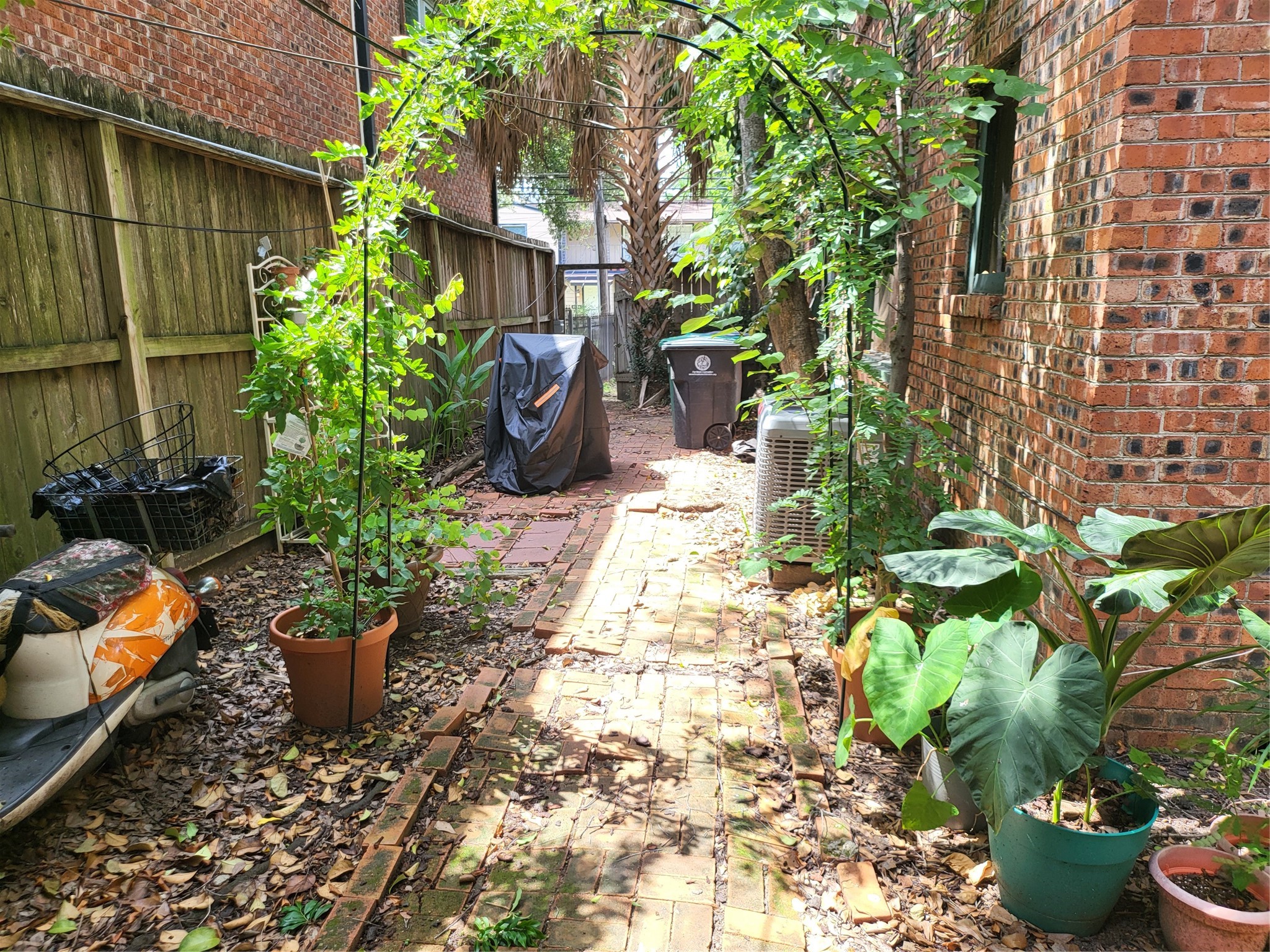 1529 Welch Street Houston, TX 77006 - Photo 13 of 34 a garden filled with lots of potted plants