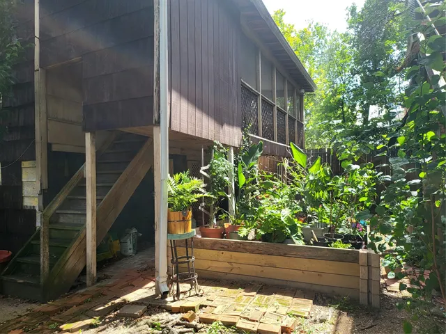 a view of a backyard with plants and chairs