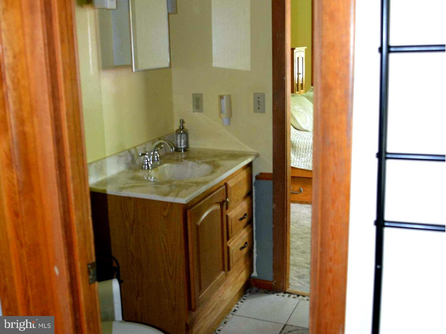 1608 Hoffmaster Road Knoxville, MD 21758 - Photo 20 of 30 Bath (Master)