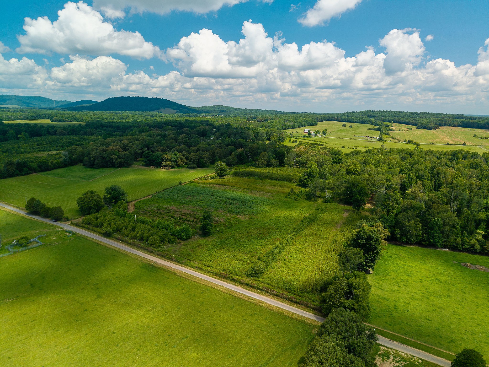 0 Sneed Road McMinnville, TN 37110 - Photo 9 of 16
