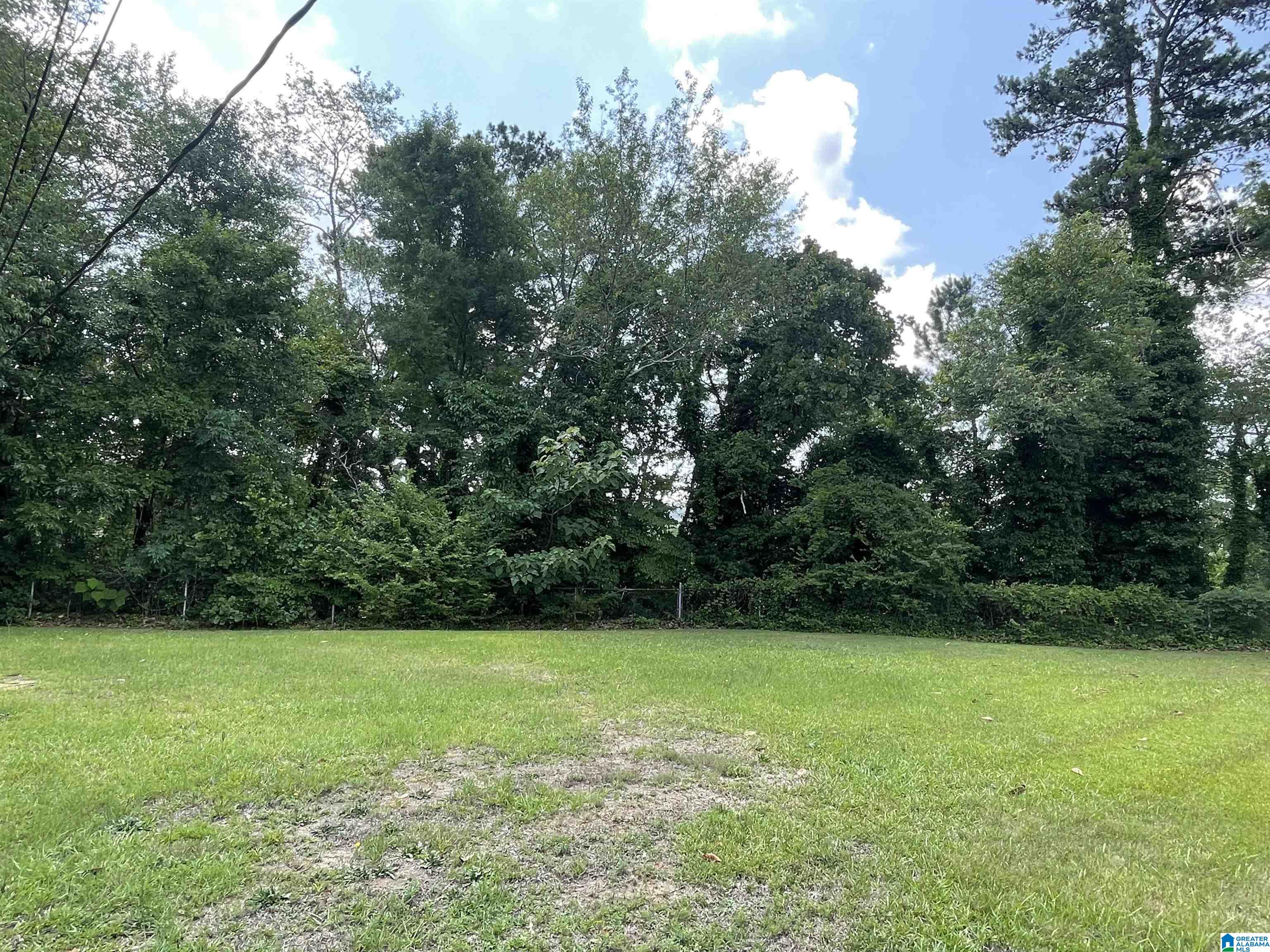 1205 Vine Street Anniston, AL 36207 - Photo 34 of 40