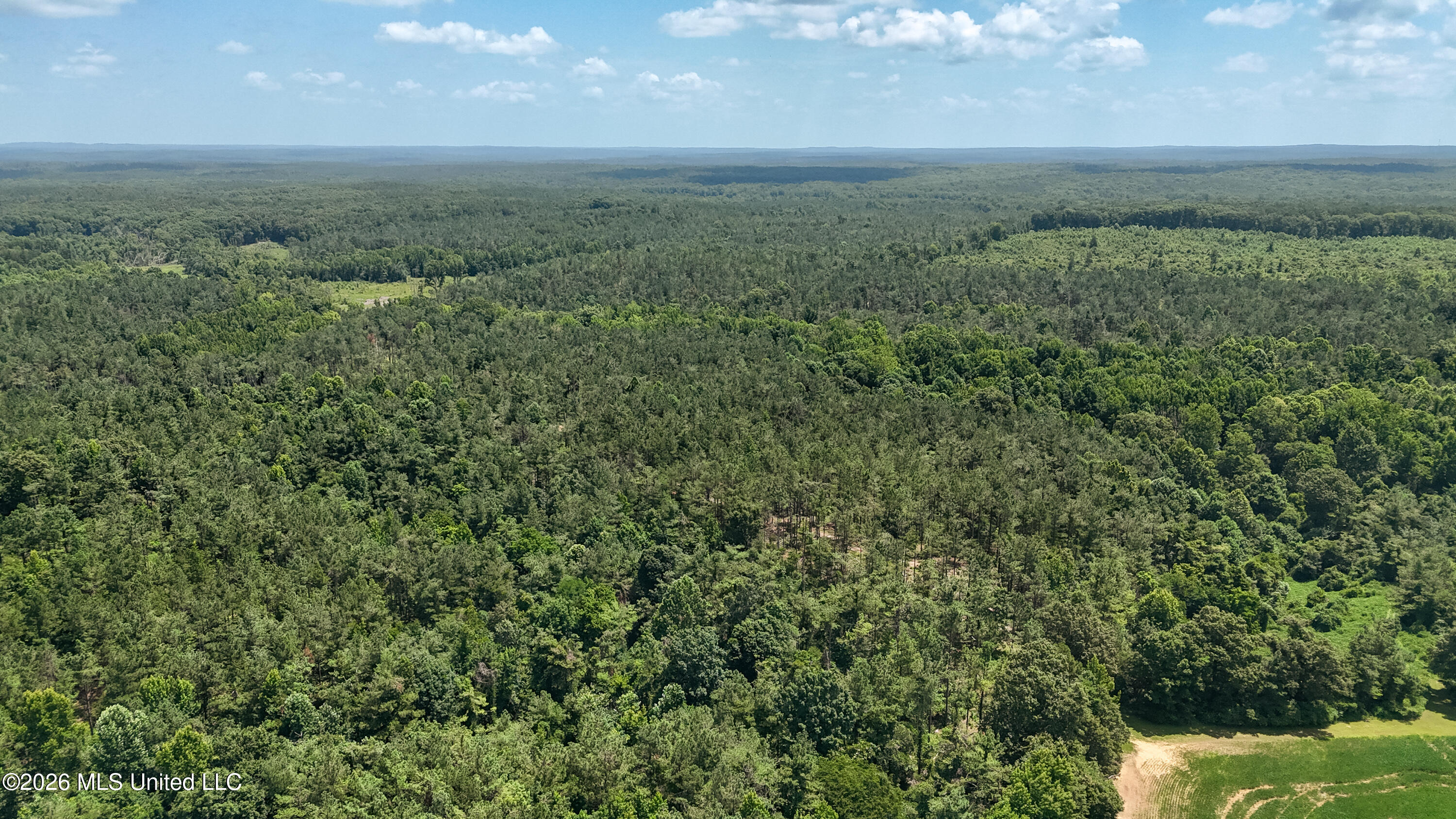 828 Little Egypt Road Ashland, MS 38603 - Photo 62 of 101 DJI_20260630115717_0328_D