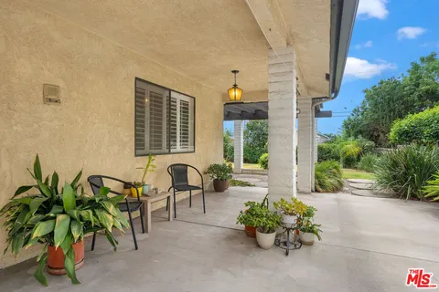 a potted plant sitting in front of a house