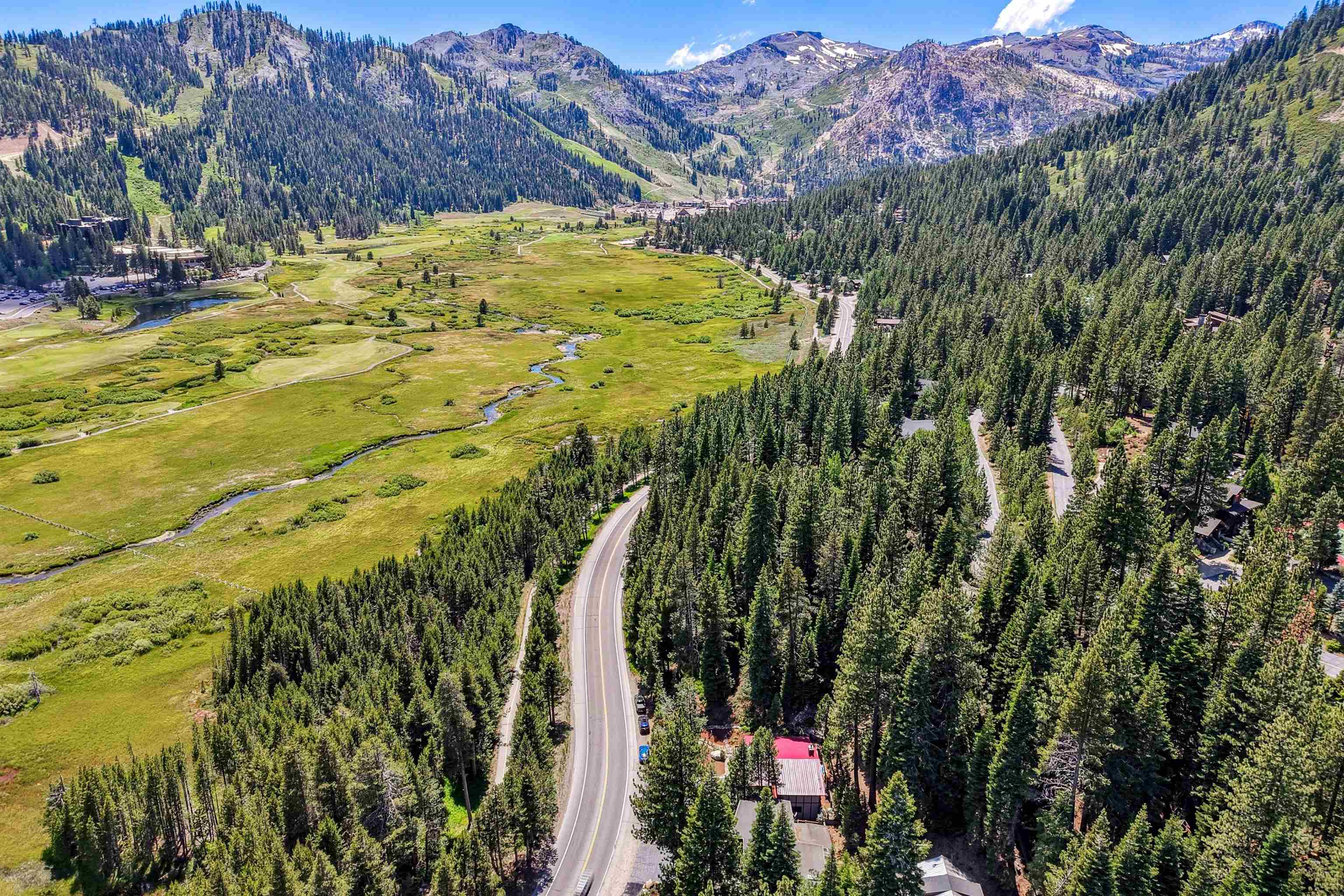 720 Olympic Vly Road Olympic Valley, CA 96146 - Photo 3 of 28 a view of banana tree