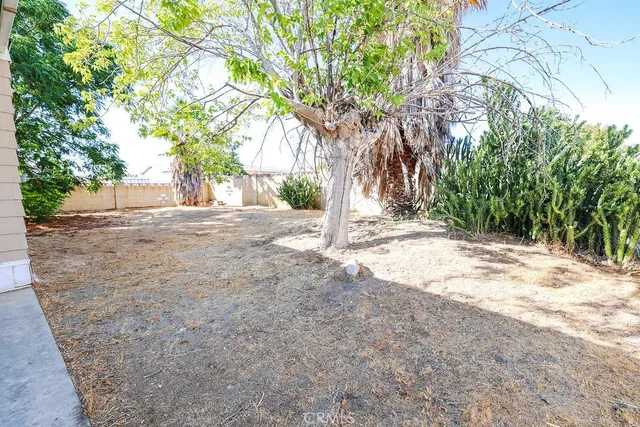 a view of a yard with plants and trees