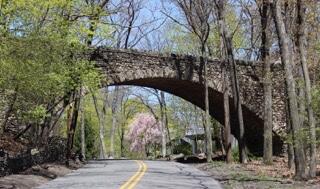 331 Summit Drive Cresco, PA 18326 - Photo 30 of 43