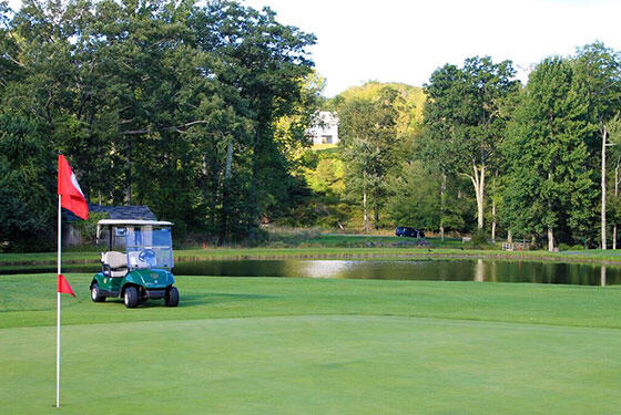 331 Summit Drive Cresco, PA 18326 - Photo 32 of 43 a view of a park with large trees