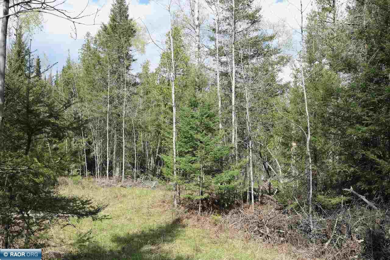 52 Ln 52 Aurora, MN 55705 - Photo 7 of 12