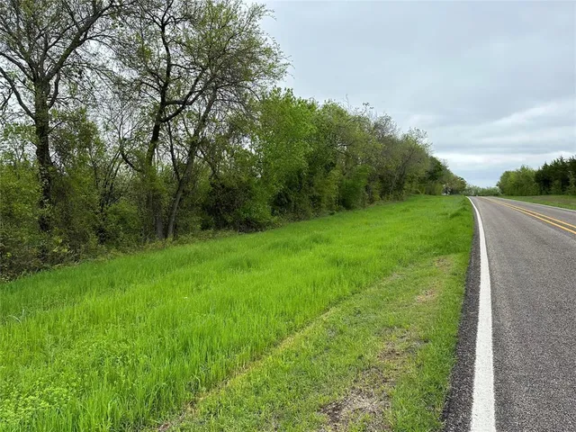 a view of a grassy field with trees