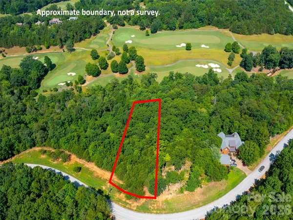 a view of a yard with plants