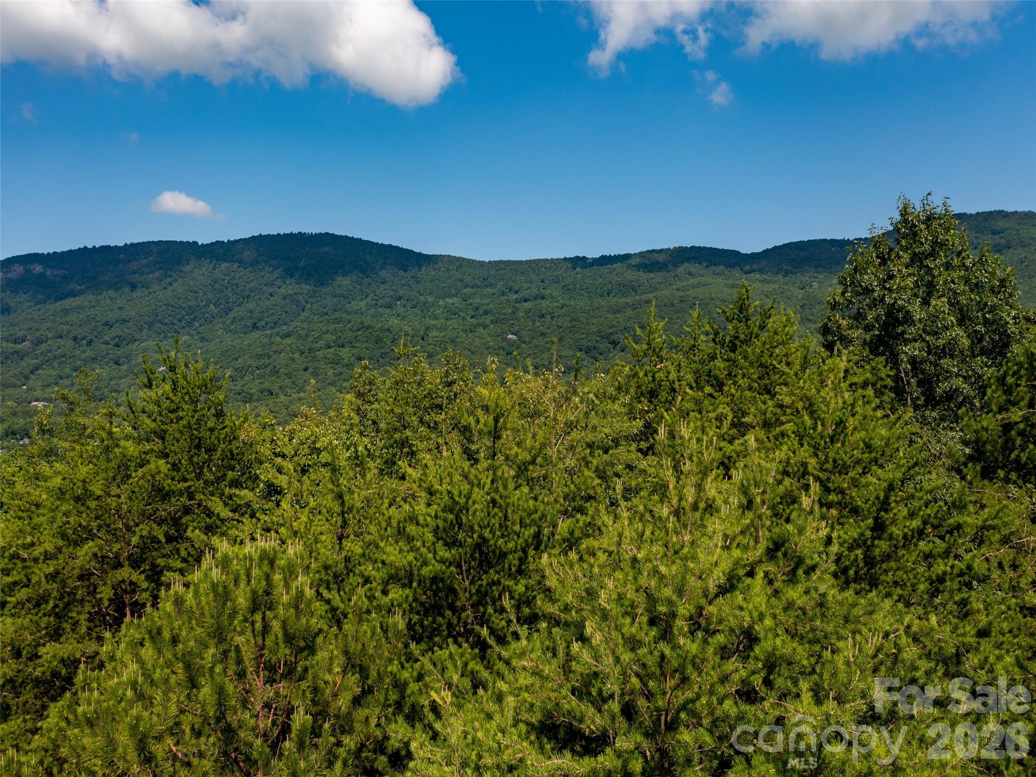 40 Deep Gap Farm Road East Mill Spring, NC 28756 - Photo 11 of 20 a view of a lush green space with sea