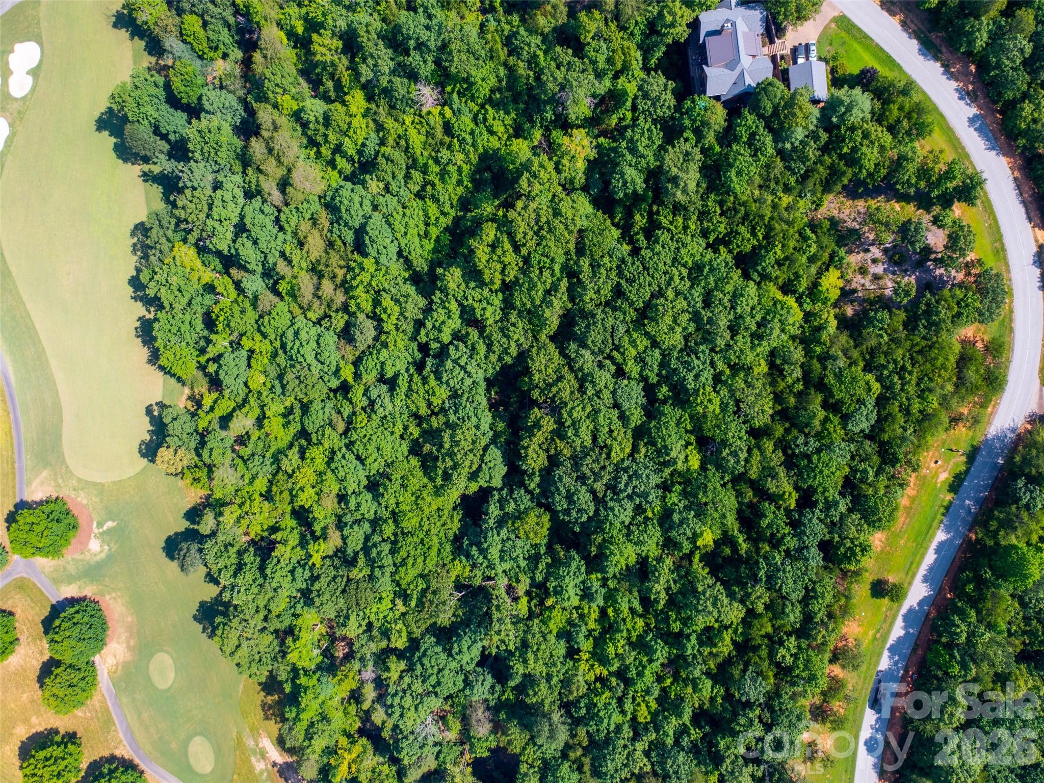 40 Deep Gap Farm Road East Mill Spring, NC 28756 - Photo 13 of 20 a view of a garden