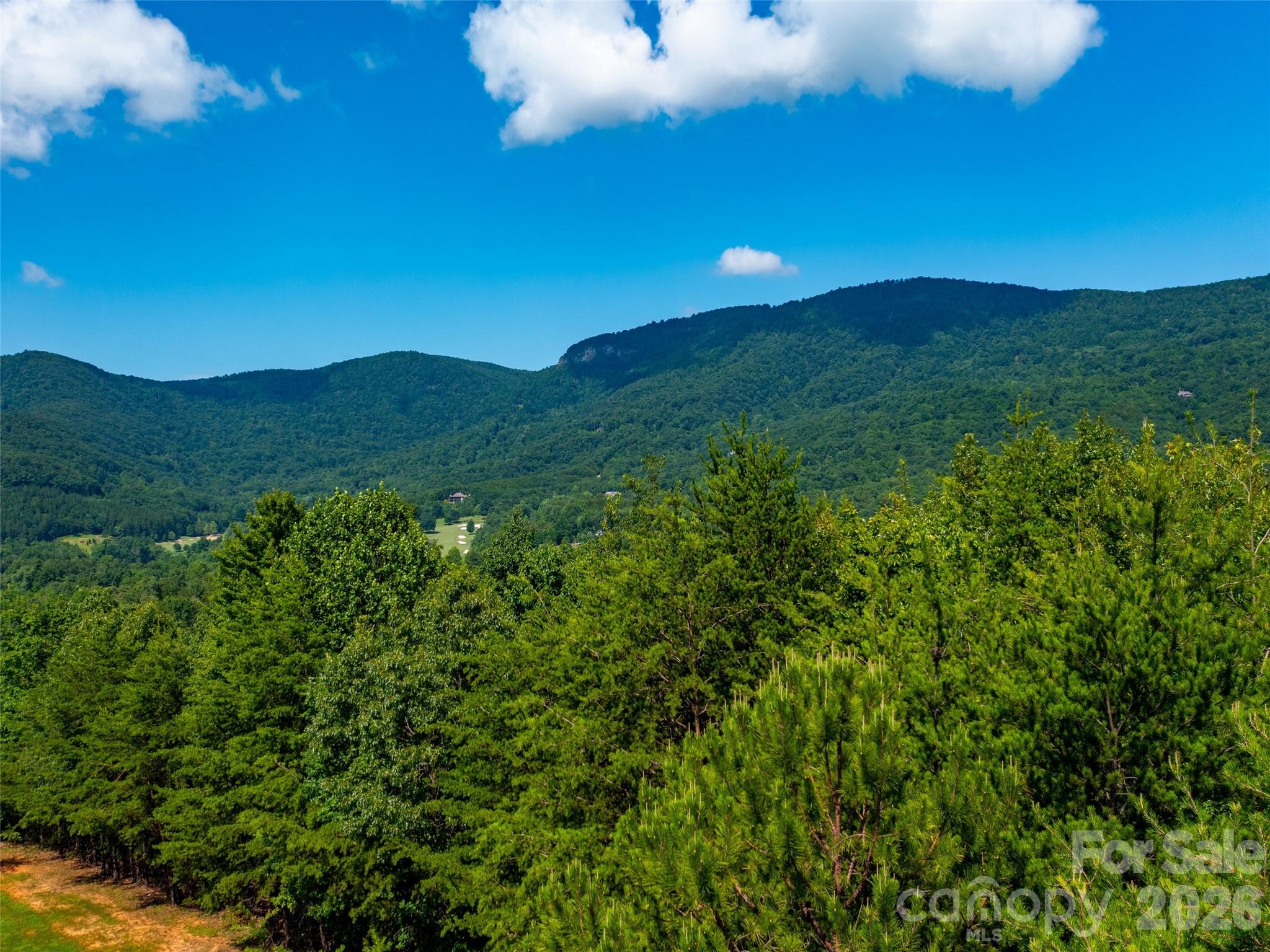 40 Deep Gap Farm Road East Mill Spring, NC 28756 - Photo 5 of 20 a view of a lush green forest with a mountain in the background