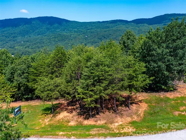 a view of a lush green hillside and a houses