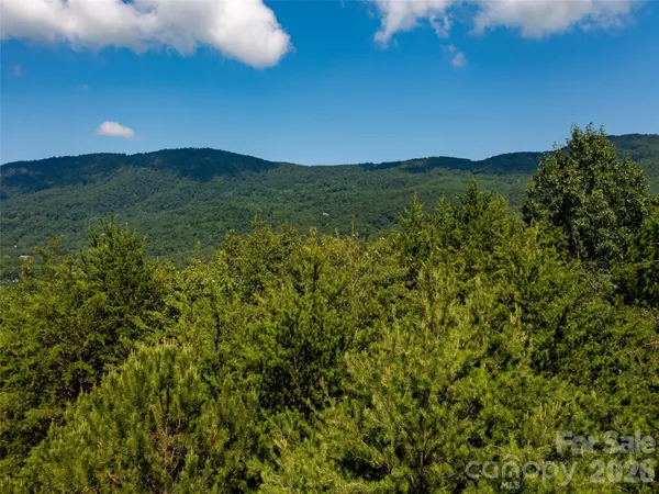 a view of a lush green space with sea