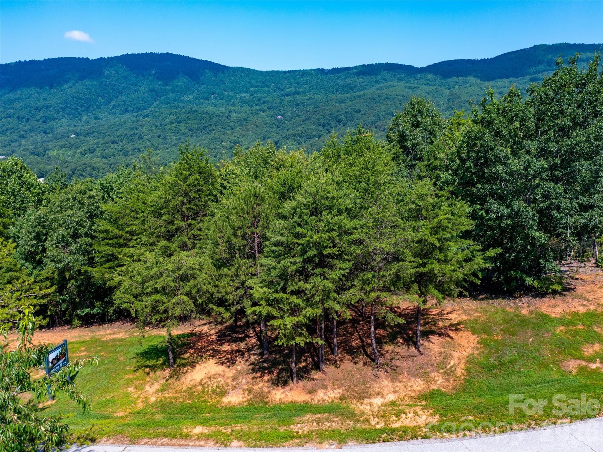 40 Deep Gap Farm Road East Mill Spring, NC 28756 - Photo 10 of 20 a view of a lush green hillside and a houses