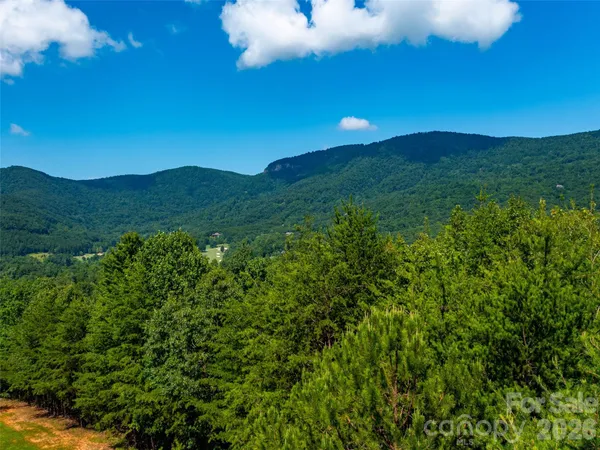 a view of a lush green forest with a mountain in the background