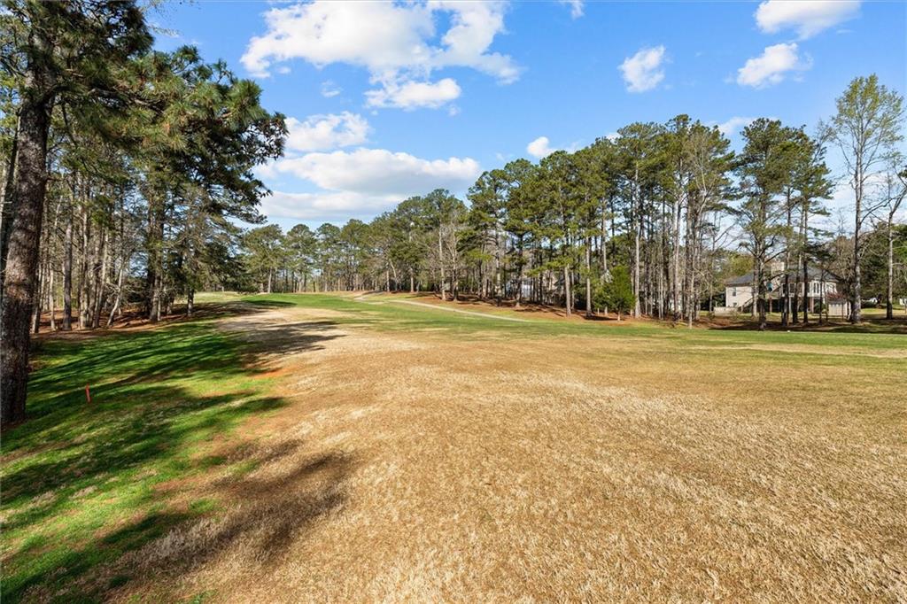 1030 Lakeview Parkway Villa Rica, GA 30180 - Photo 43 of 46 a view of a field with trees