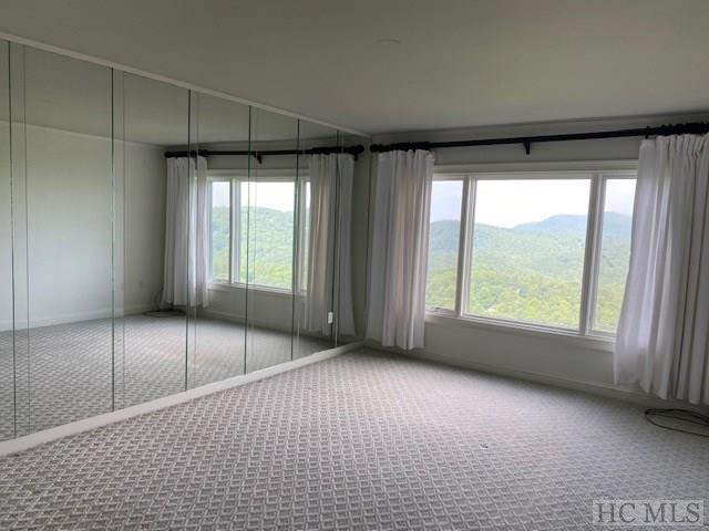 602 Vz Top Road, Unit 602 Highlands, NC 28741 - Photo 10 of 32 Gallery Image 10