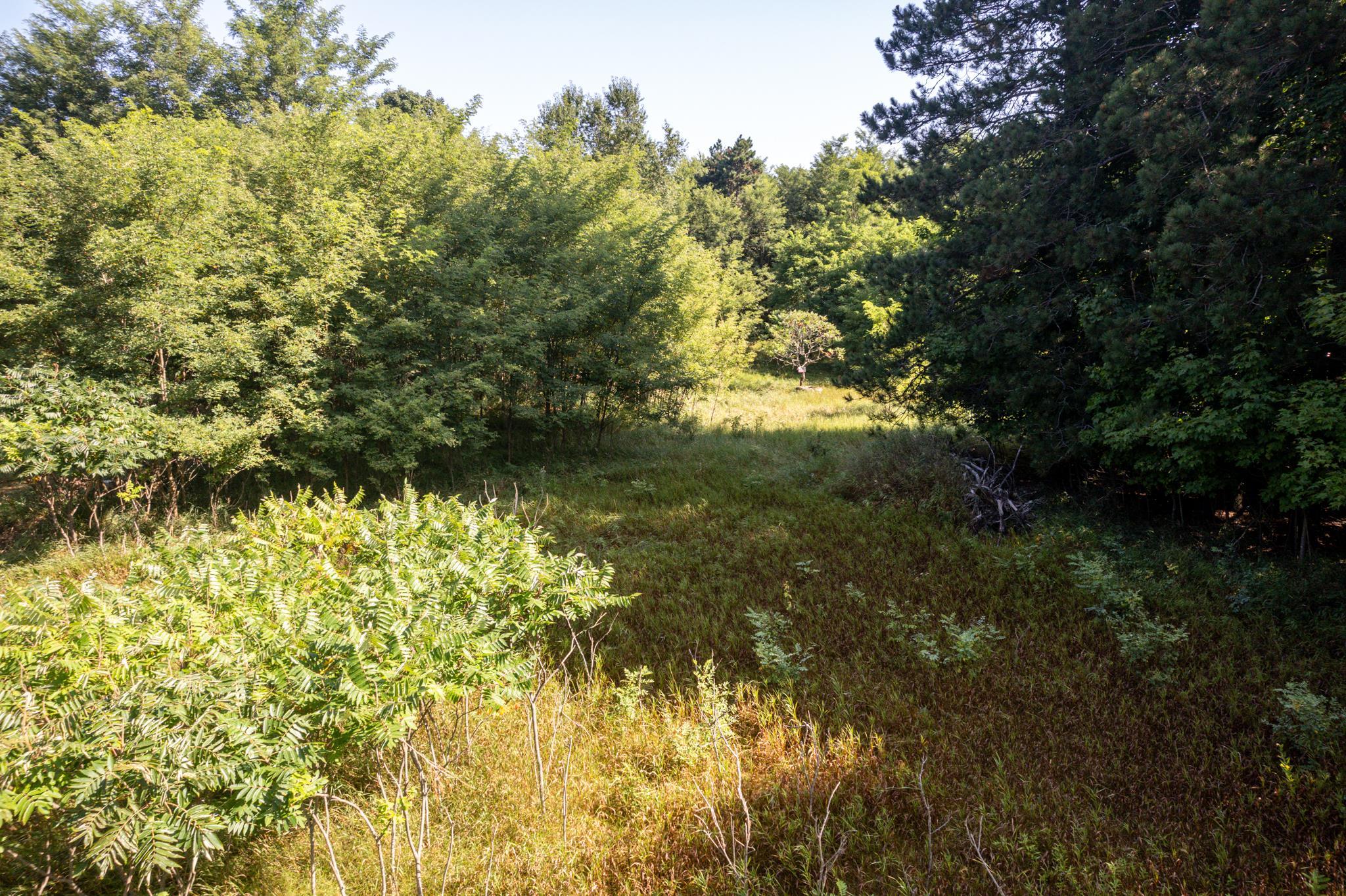 11241 Marilla Road Copemish, MI 49625 - Photo 24 of 29 Gallery Image 24