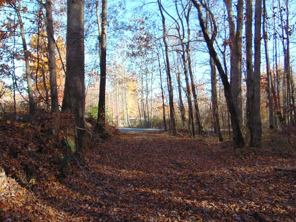 0 Raccoon Ridge Road Spring City, TN 37381 - Photo 69 of 70