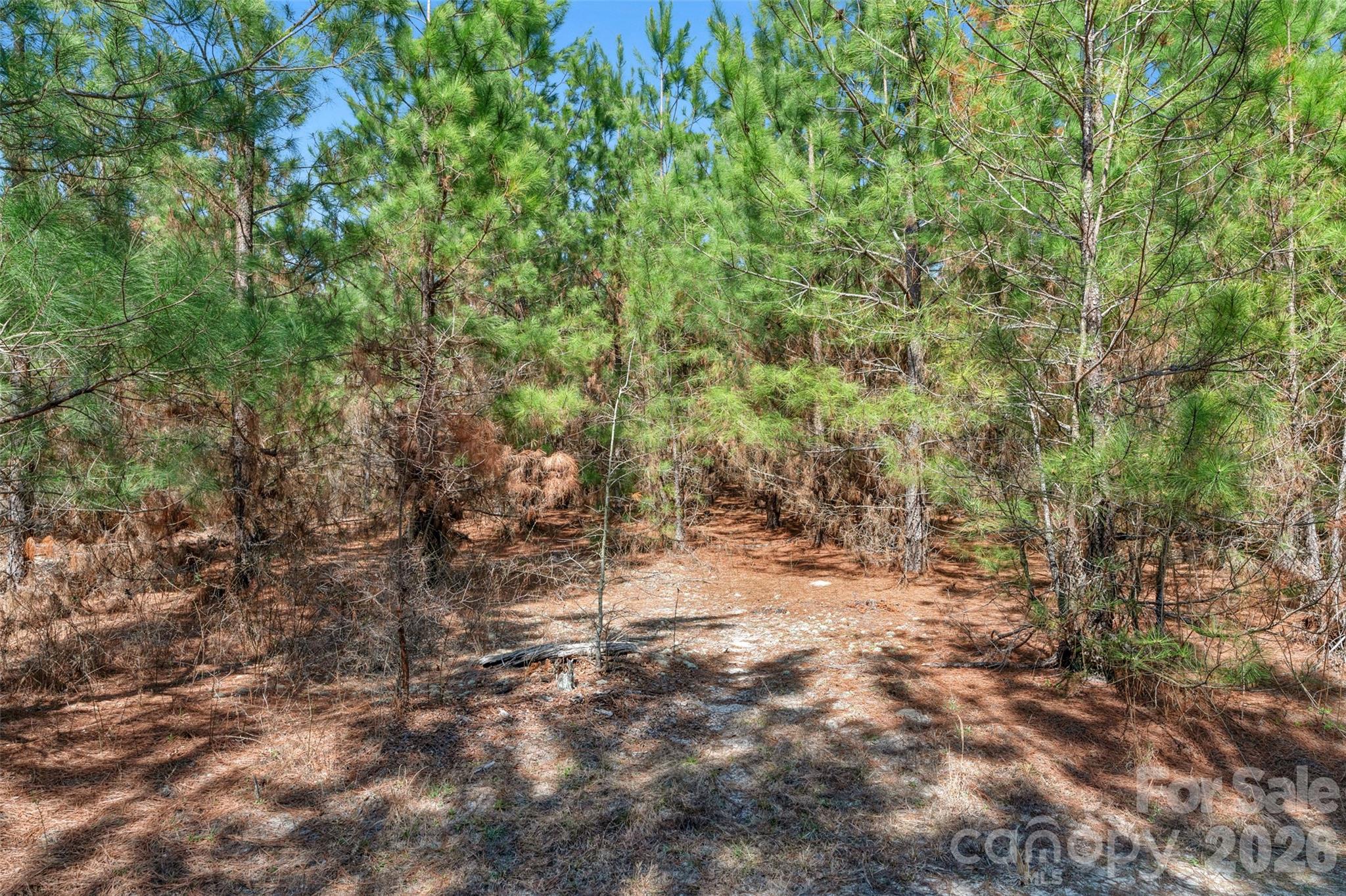931 Charlie Johnson Road, Unit 7 Kershaw, SC 29067 - Photo 16 of 34