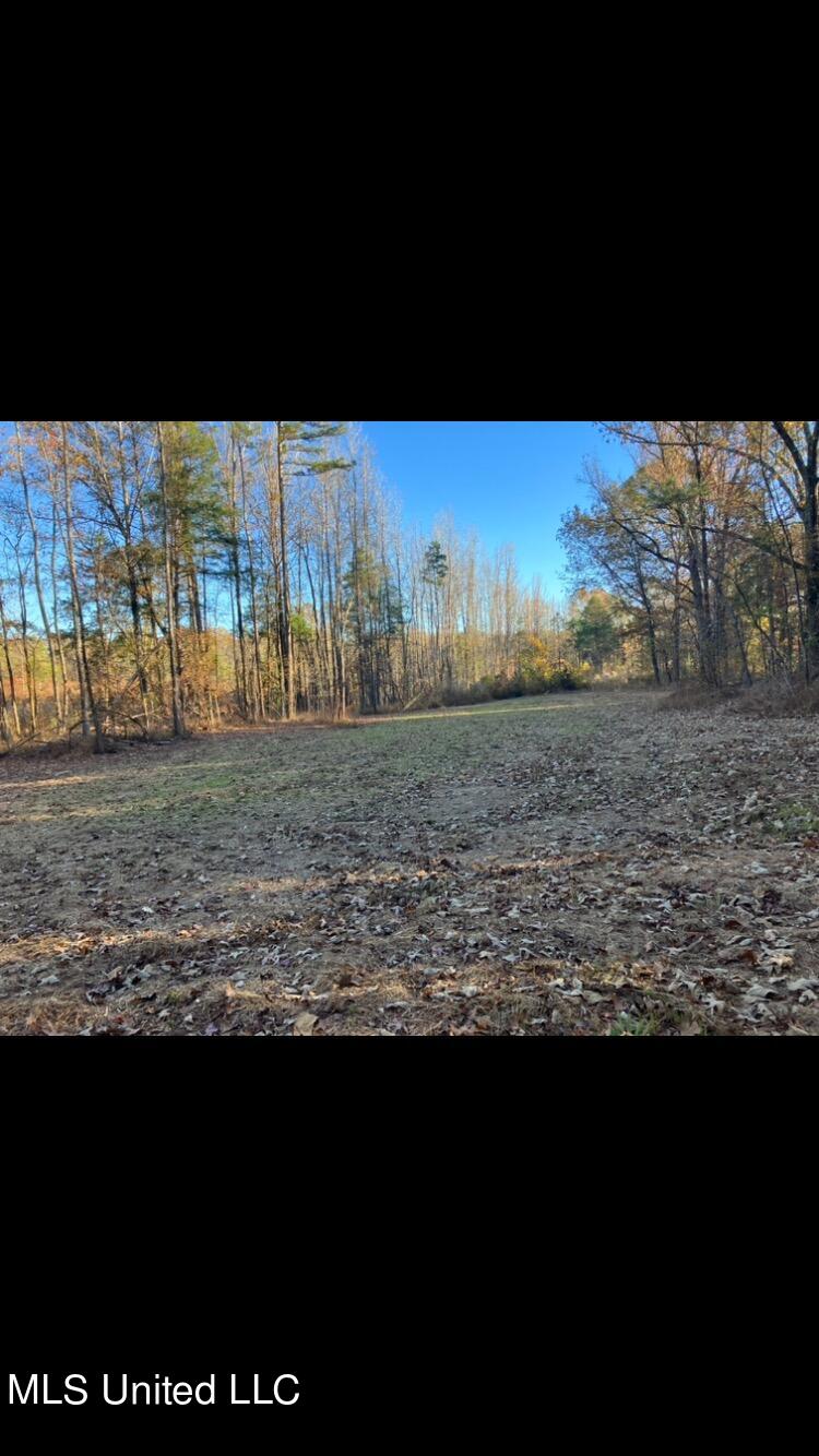 207 County Road Carrollton, MS 38917 - Photo 54 of 74 IMG_3186