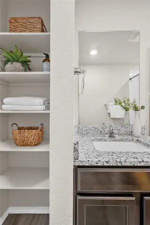 a bathroom with a sink and a potted plant