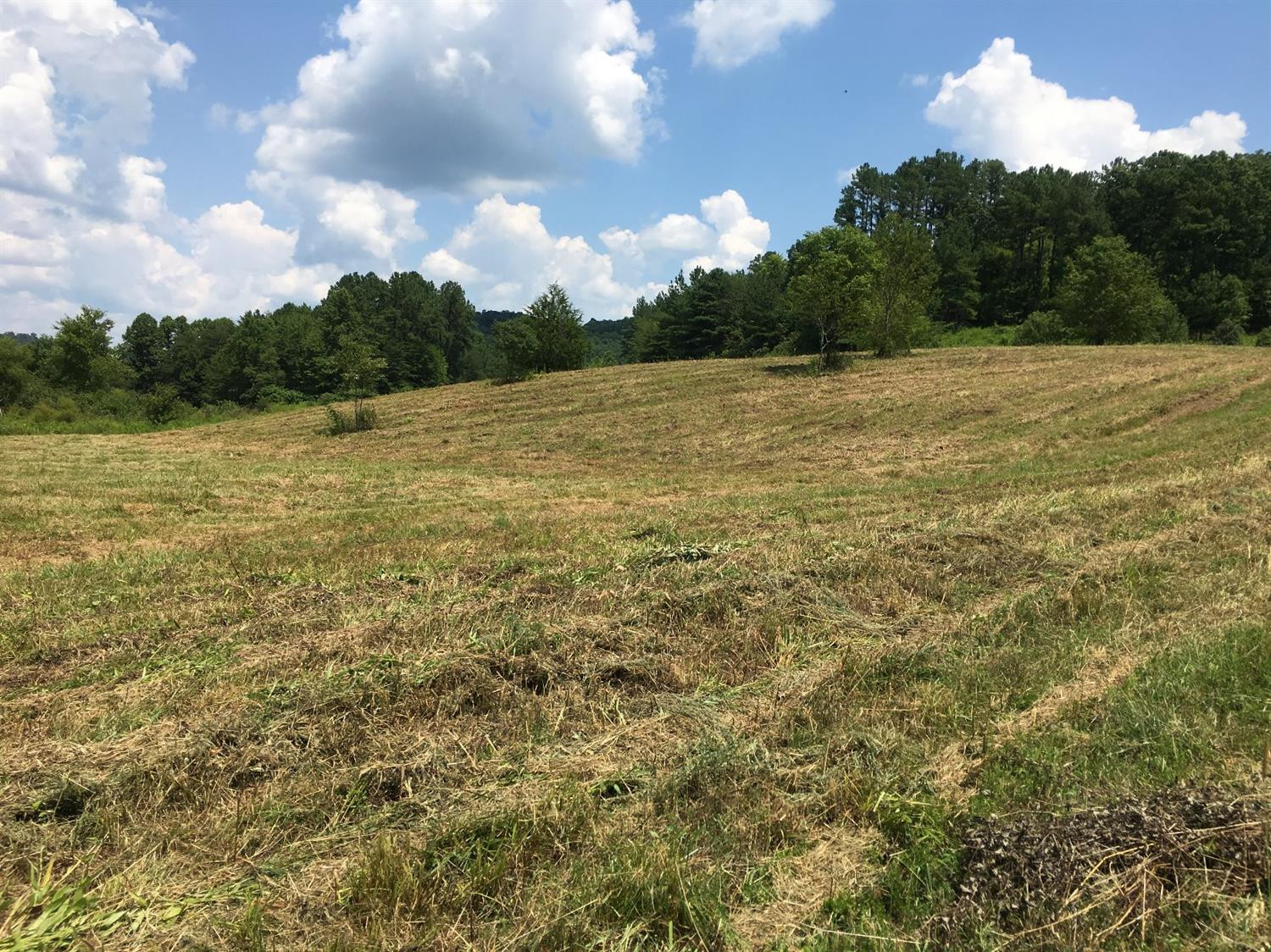 8181 Johnson Road London, KY 40741 - Photo 29 of 41 Photo 29