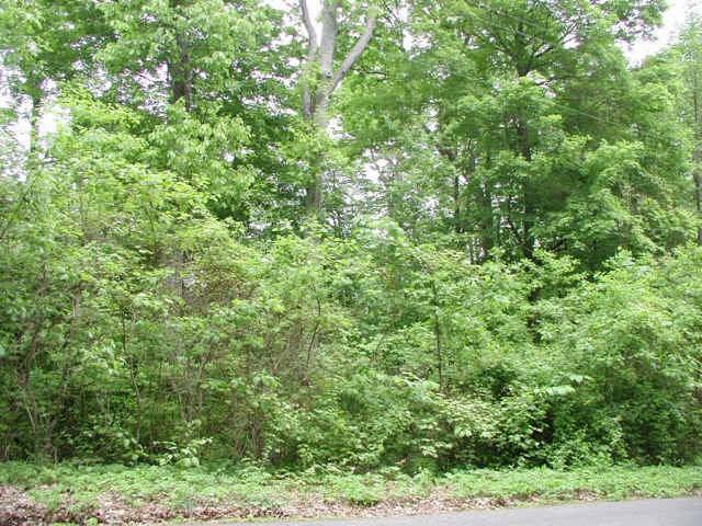 4359 Morrison Road Nashville, IN 47448 - Photo 10 of 11 Gallery Image 10
