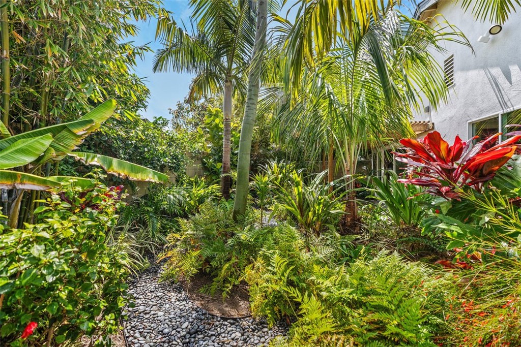 11596 Lakia Drive Cypress, CA 90630 - Photo 38 of 46 a view of a plant in a garden