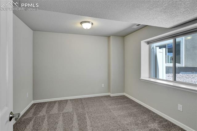 11335 Rill Point Colorado Springs, CO 80921 - Photo 31 of 41