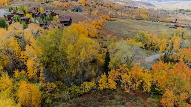 285 Game Trail Road Silverthorne, CO 80498 - Photo 5 of 6 Gallery Image 5