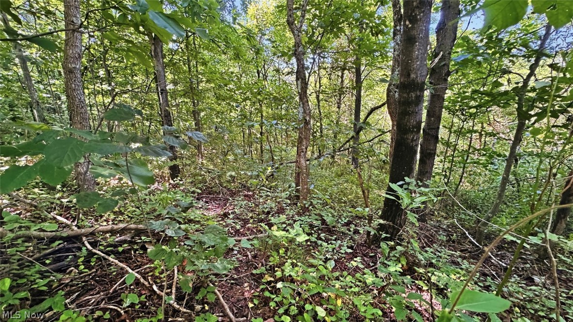 742 Peters Cave Road Patriot, OH 45658 - Photo 47 of 50 Gallery Image 47