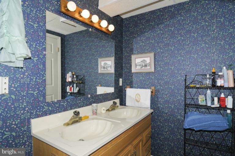 3164 Flickinger Road Westminster, MD 21158 - Photo 17 of 30 Lower Full Bath