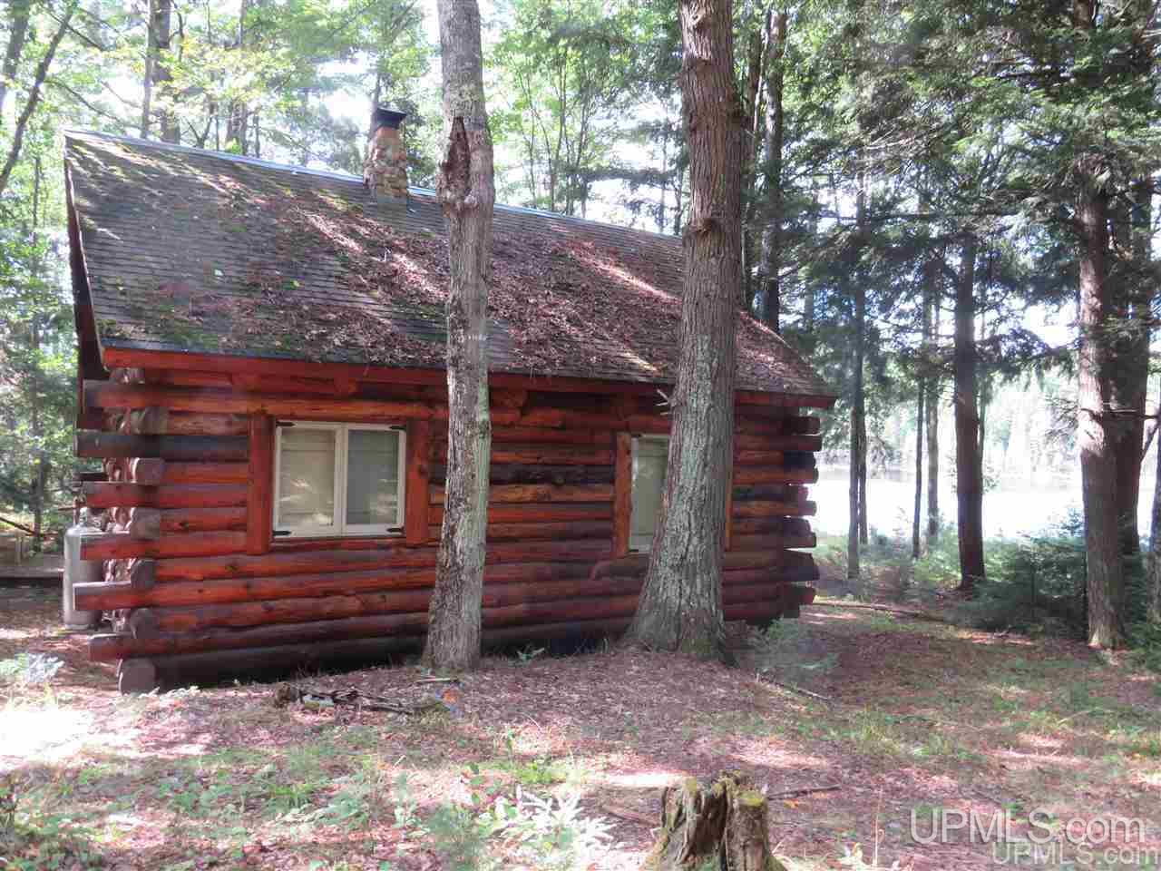 Tbd Off Lake On Three Road Trout Creek, MI 49967 - Photo 2 of 50